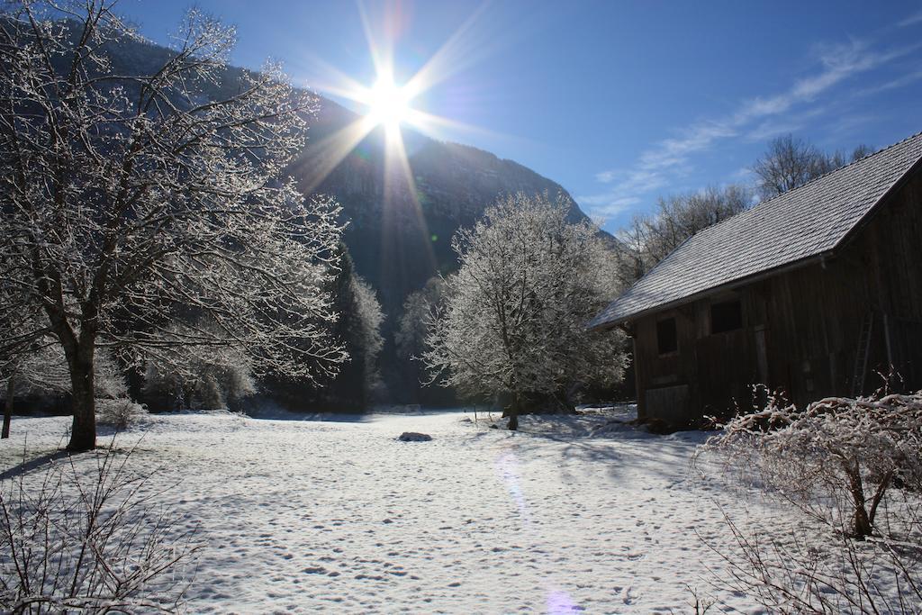 La Clairiere Du Moulin Bed and Breakfast Lepin-le-Lac Exterior foto